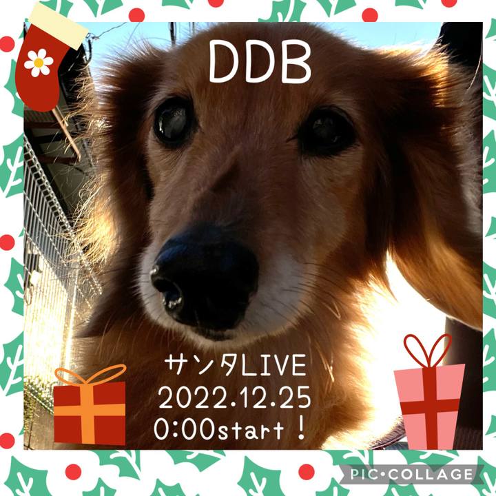 C9b34c8e 53e6 4c13 bfb6 f623d8ad940d 1671366775643