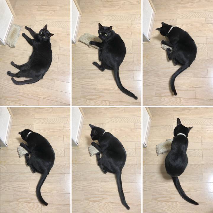 C9b34d7c 4a7e 45f2 b441 62329f415af8 1588673177323