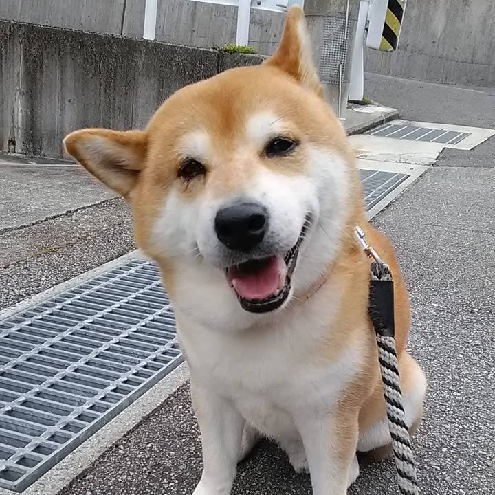 C9b369eb b99e 419a b745 98d19f6e7127 1591773349579