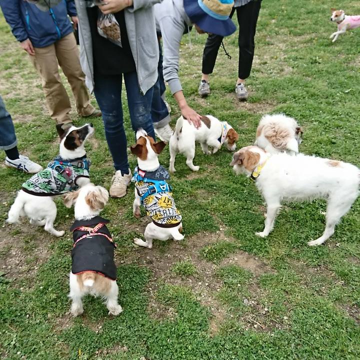 C9b39523 8b91 4cd8 b963 e5a84e5bd797 1556596889239