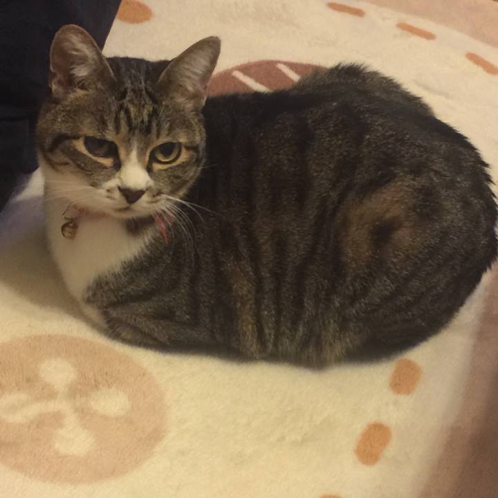 C9b3c543 8001 46f1 a626 d05affa1a9fd 1557837798762