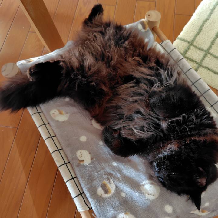 C9b3c5ff 5920 4301 b60f e6c8ebc07554 1768866188229