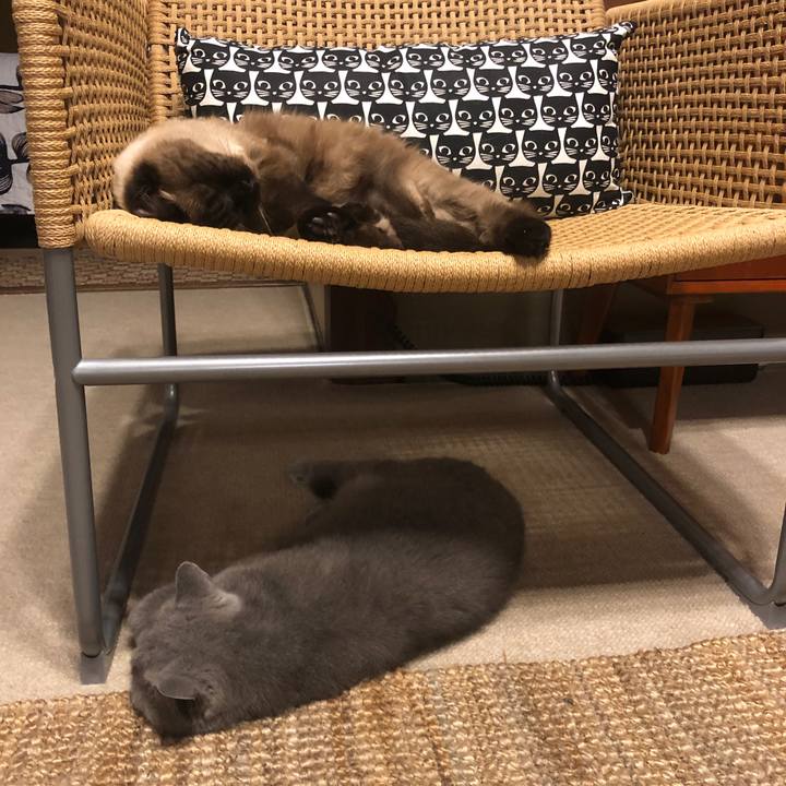 C9b3d739 904d 4d6b 813a 63751b3a6bd2 1625106114700