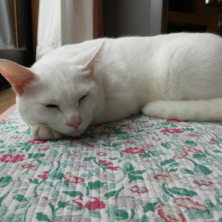 C9b3f804 06a4 41e0 8278 415402a5bc1a 1508726711370