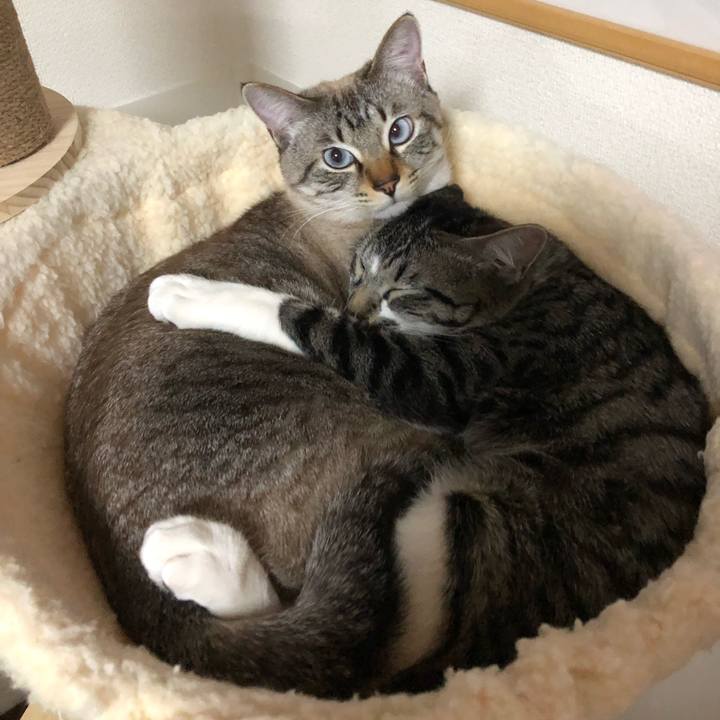 C9b4240c 5e3d 4ab3 986b cf6f175111fe 1644311708448