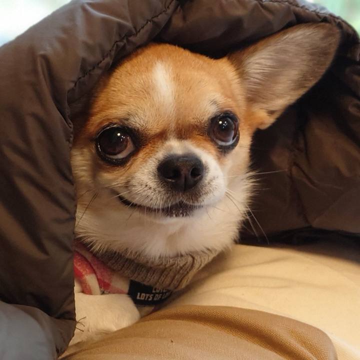 C9b43b15 ebaa 432e abd6 6f36f0c23ca4 1668325585064