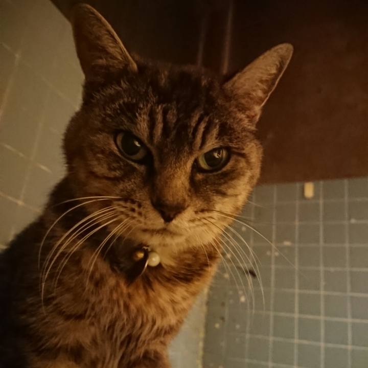 C9b44562 3a21 4e93 a744 b551f977b274 1575536059593