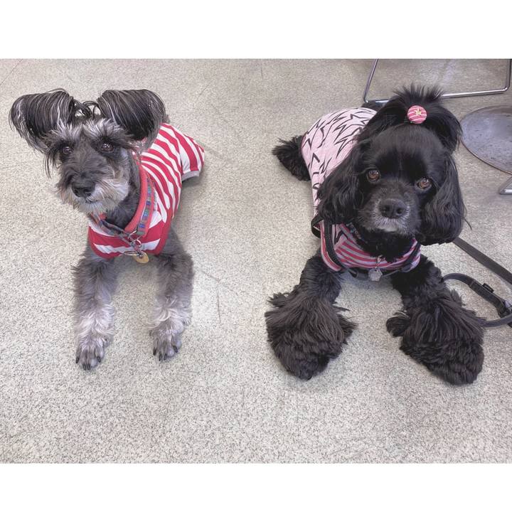 C9b4626c 6d70 4484 90d0 8f119c3c73cb 1588333763374