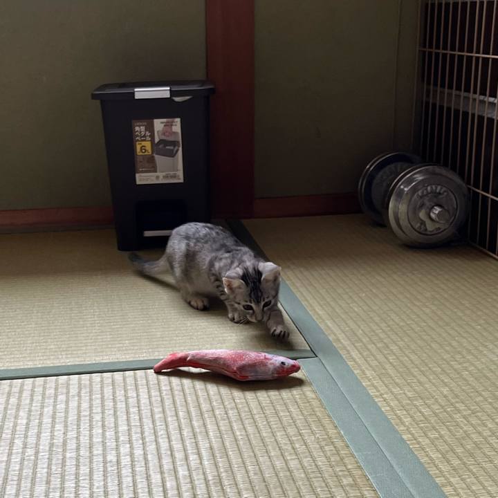 C9b4716e cf14 49a3 8af5 6bcec2fd11c0 1697260153278