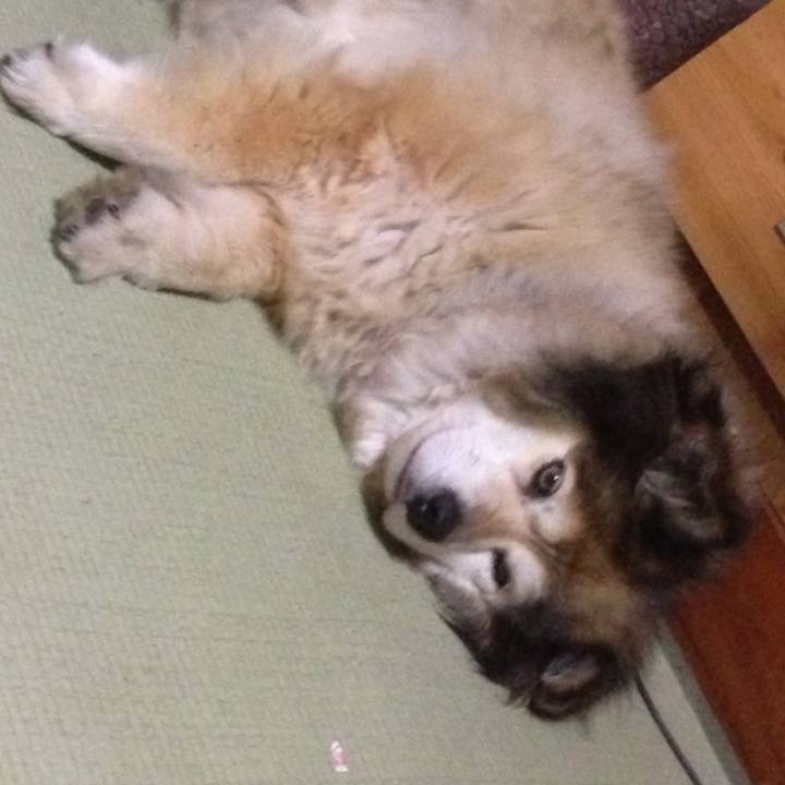 C9b48116 31e0 4d4b b053 1ae89216aa73 1656882249246