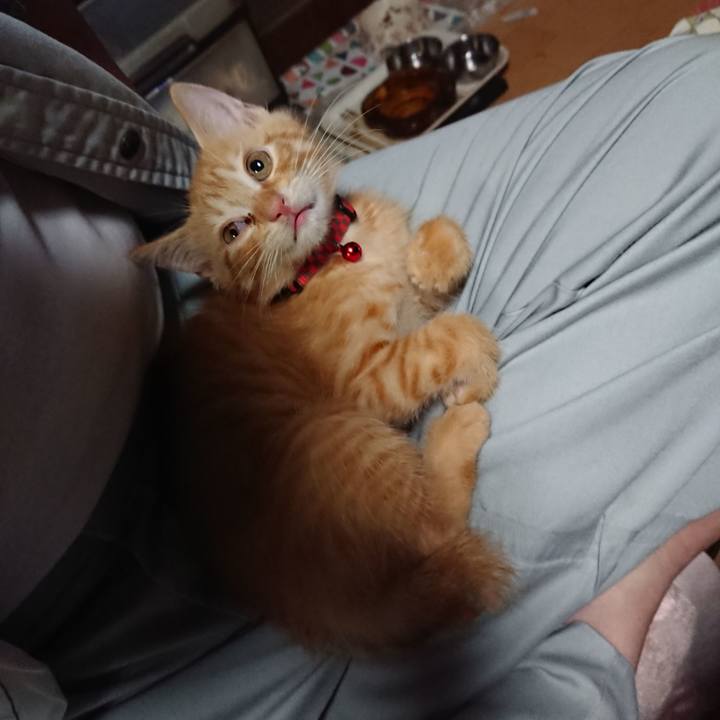 C9b4e371 3a2c 4baa b909 62d7da7ab233 1629281501800