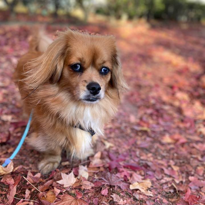 C9b5040c 2ffd 4e1e 995a df2b4d9bdfc2 1573343818982