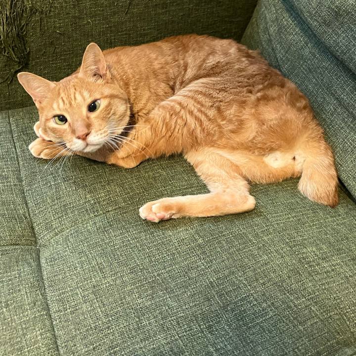 C9b54d1a d844 41ad 83ab fa00a4cf1138 1760158020488