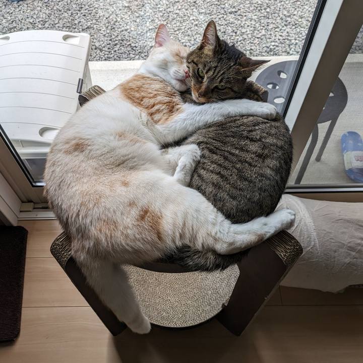 C9b56626 d6e8 4c5d 82b2 46fbb5912d68 1687583321693