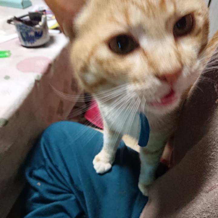 C9b5764d f05b 4b0b 8fe2 40e6009fb9ee 1556572249593