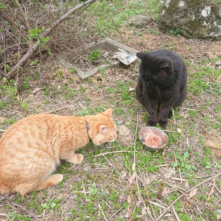 C9b588f6 76e6 417b 8f78 e556ca640314 1650805279647