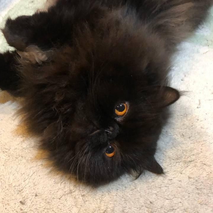 C9b59bdf 3e0b 4b62 a908 18530156b3c1 1614433694689