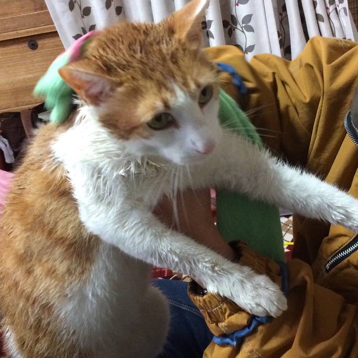 C9b5ac7b 65cd 432d abb6 15606a0e4c0c 1511071374131