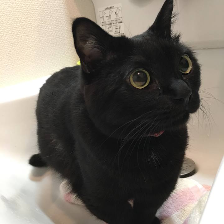 C9b5b9ce 2298 43b2 8111 edaf7633ae0d 1538219163428