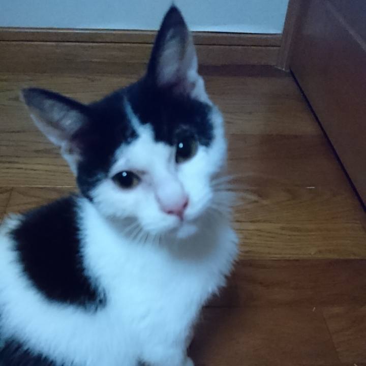 C9b5d22e e60f 4d11 addd 029c3f3e1b40 1597147644464