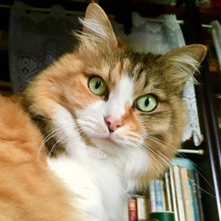 C9b5ef66 2f3d 4c26 9de6 c6c0a13ee1a5 1559444400951