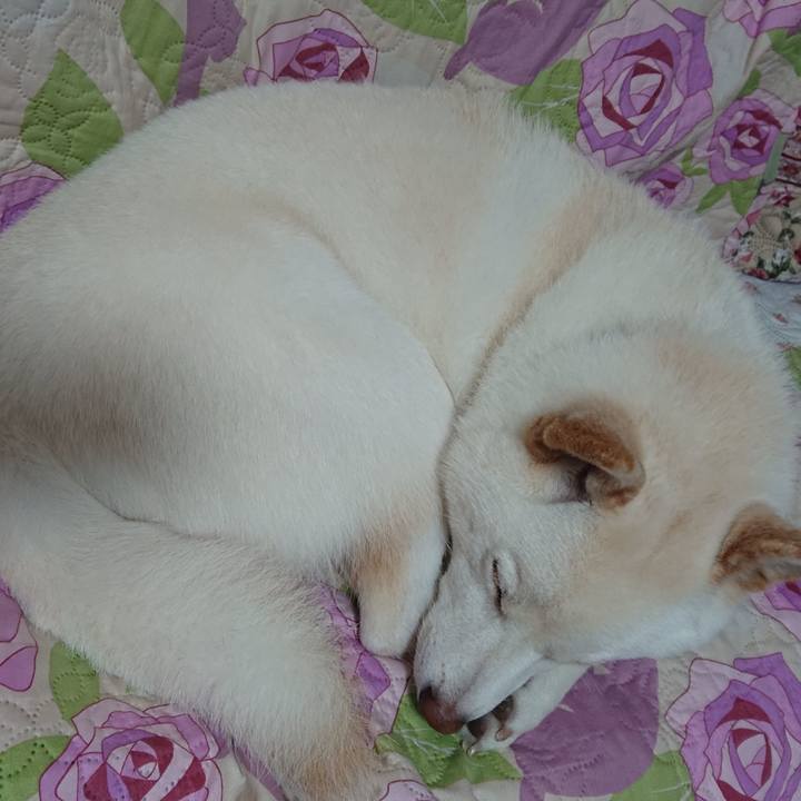 C9b5f5dd 260f 4205 9a30 9f3e98be714c 1586088099209