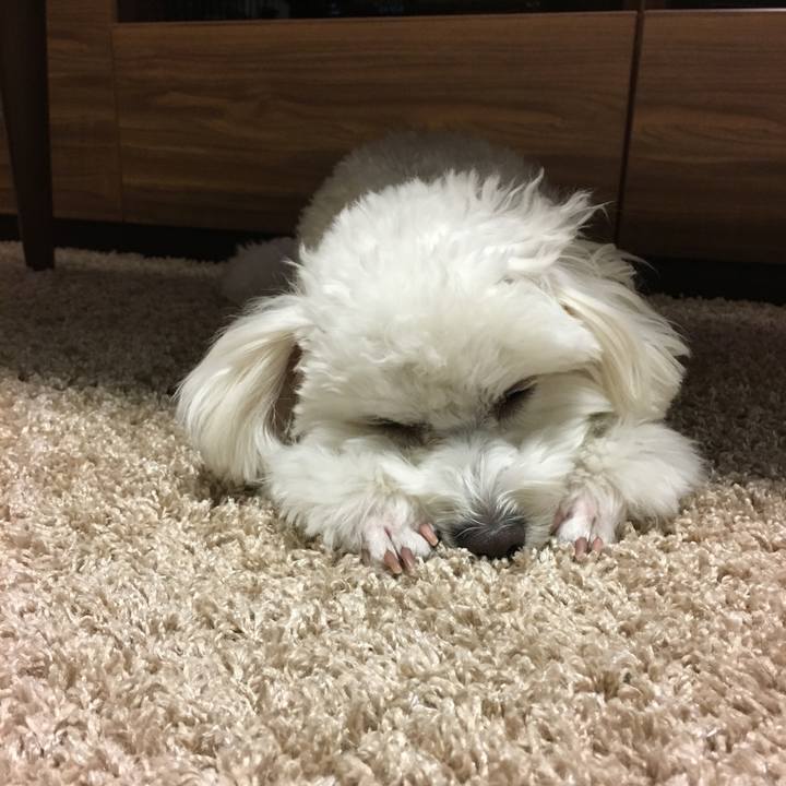 C9b6359e fba1 4b5e b95e 7176f1270f69 1515847227816