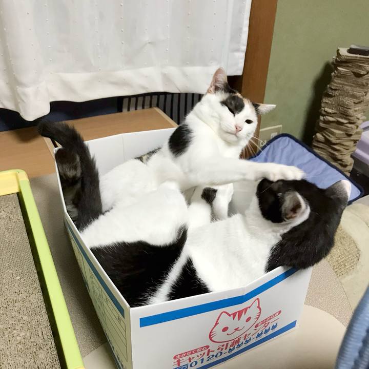 C9b637ae c60b 4cea bb1f c21a105097ef 1538014014048