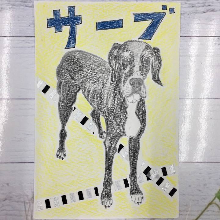 C9b647c7 e8a1 4967 8d8d 986941425649 1510919708242