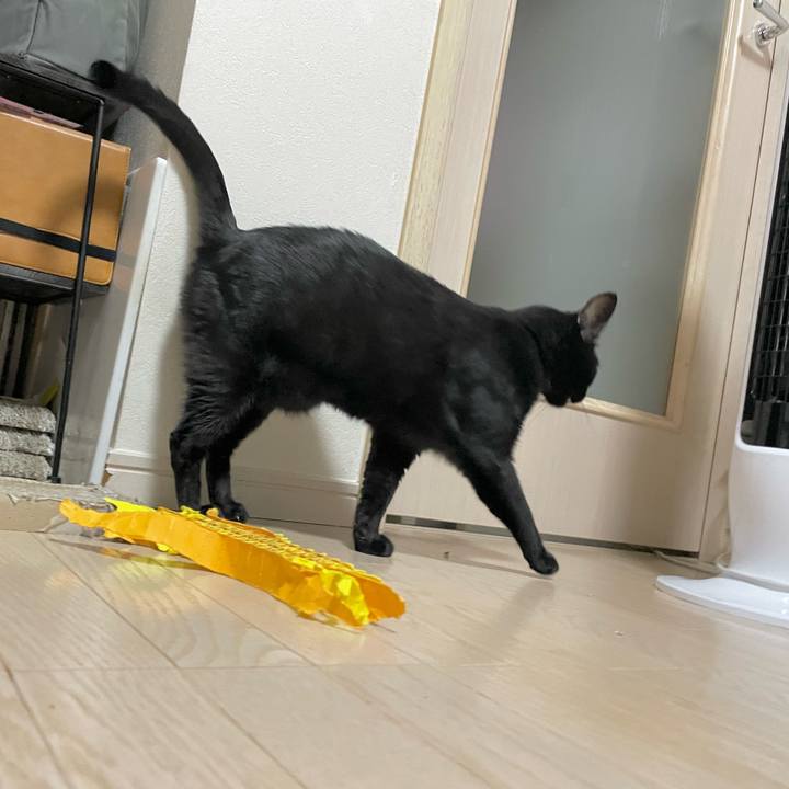 C9b64f06 716d 491b 9941 7d361197ed5b 1723549557670