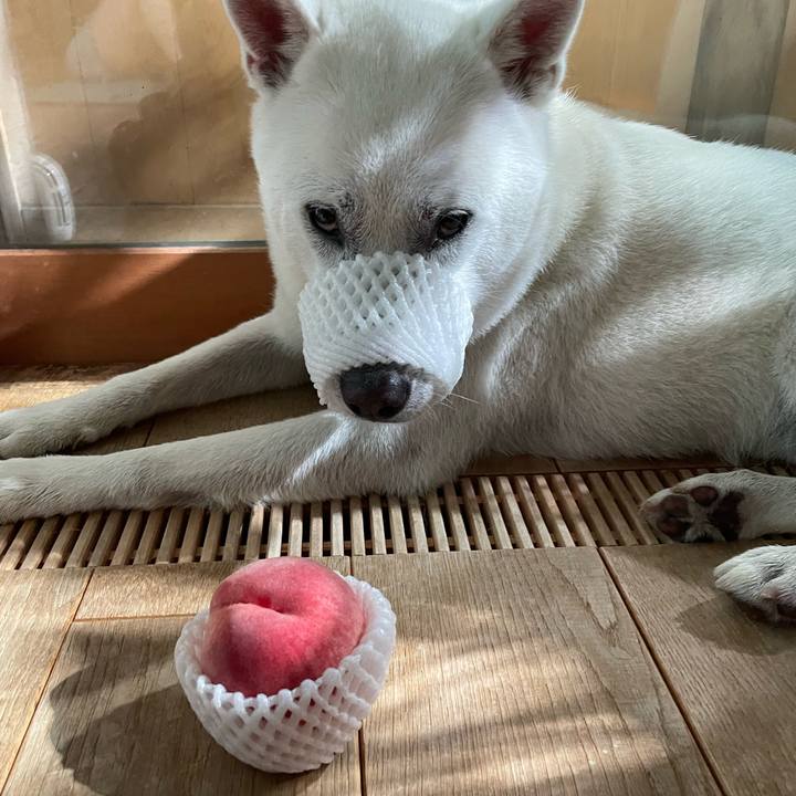 C9b66628 0fd0 45e4 ad7d 885729f5344c 1721044987742