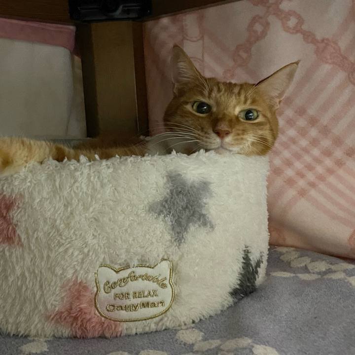 C9b6aae3 afdd 4b23 82a9 0a893a127f55 1700216117787