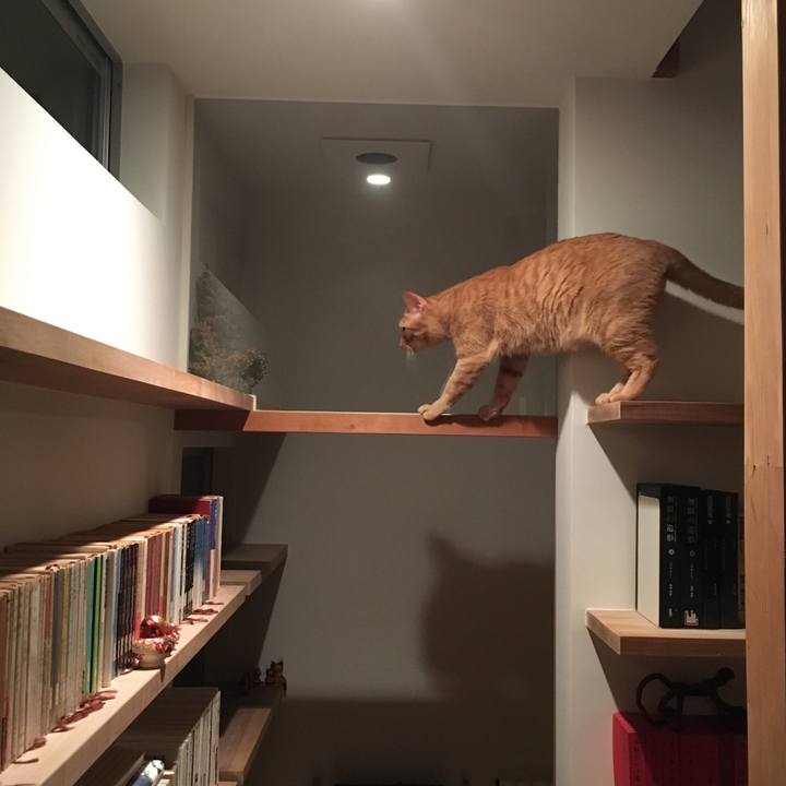 C9b6b292 afbf 49cd a12e bbe9b4b9a733 1533822698773