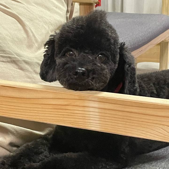 C9b6b594 a14d 4cc3 8141 d540e938180a 1657427976067