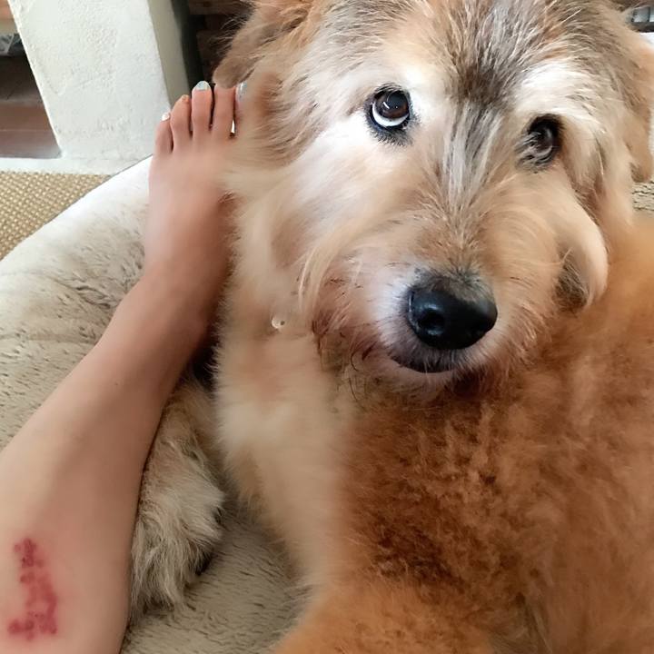 C9b6ba73 5bb5 4bf4 ba1f 9865d377cd84 1601636425751