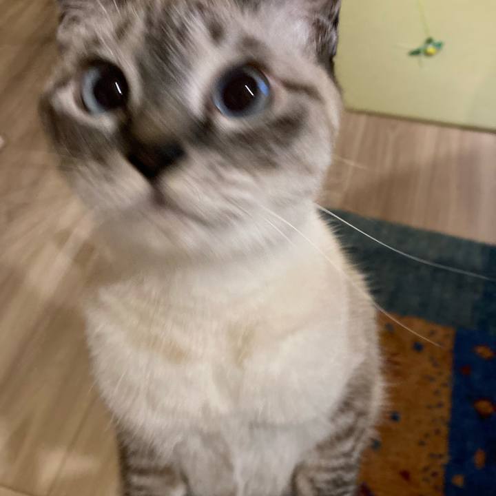 C9b6c111 2967 4e42 b56a eedeec88e3c2 1634646003717