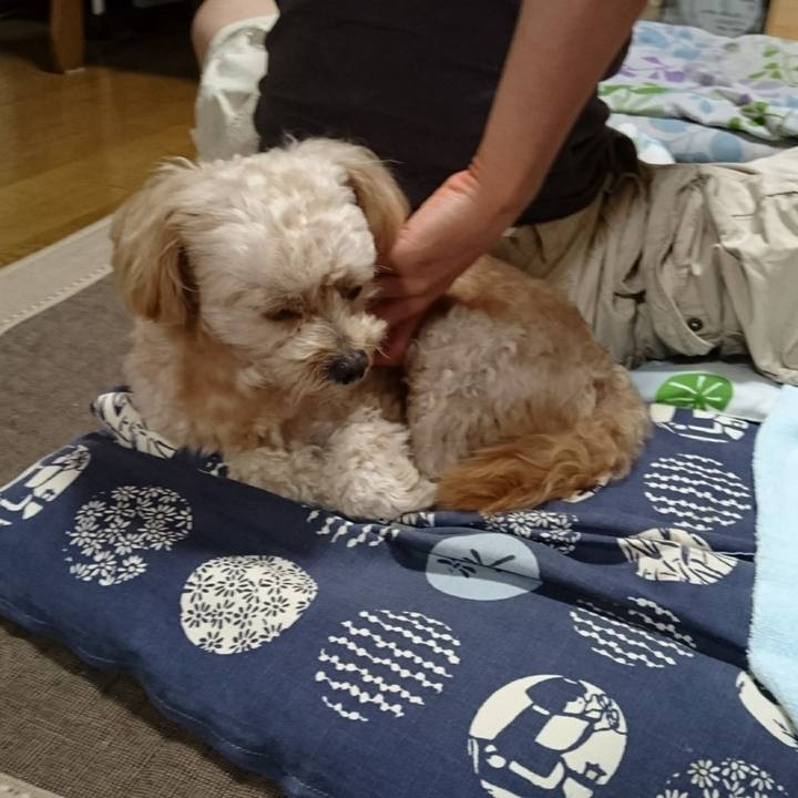 C9b7199a ff2b 4f63 8180 29649e593558 1567833984457