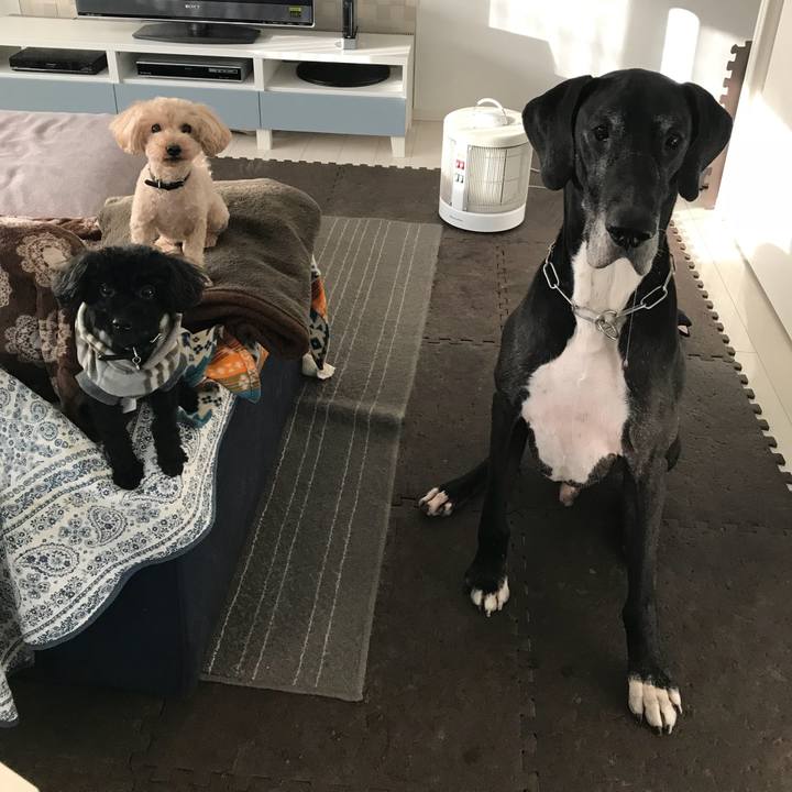 C9b71ded c764 45b6 9858 2b7403e136f7 1511477967122