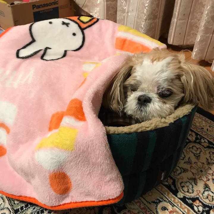 C9b74b28 379e 407e a792 72f9345d67fb 1543787162358