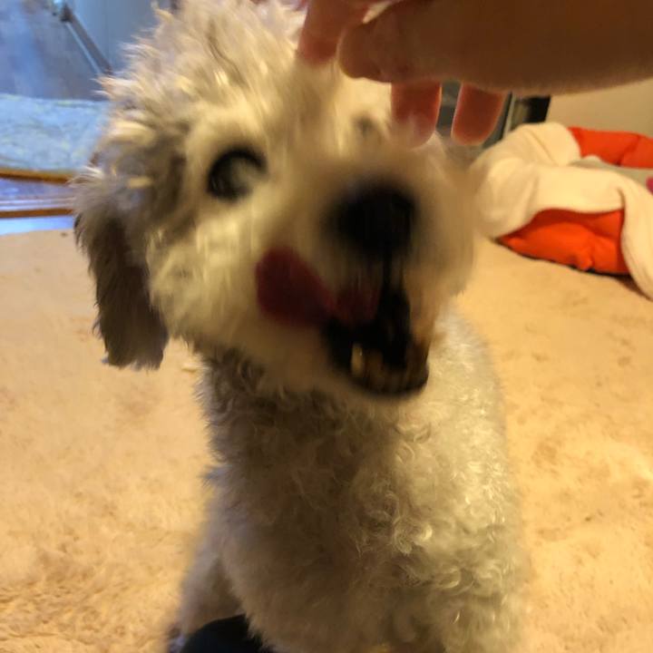 C9b74d49 902b 495a 9d3e 4b47d0a479ae 1545387385619