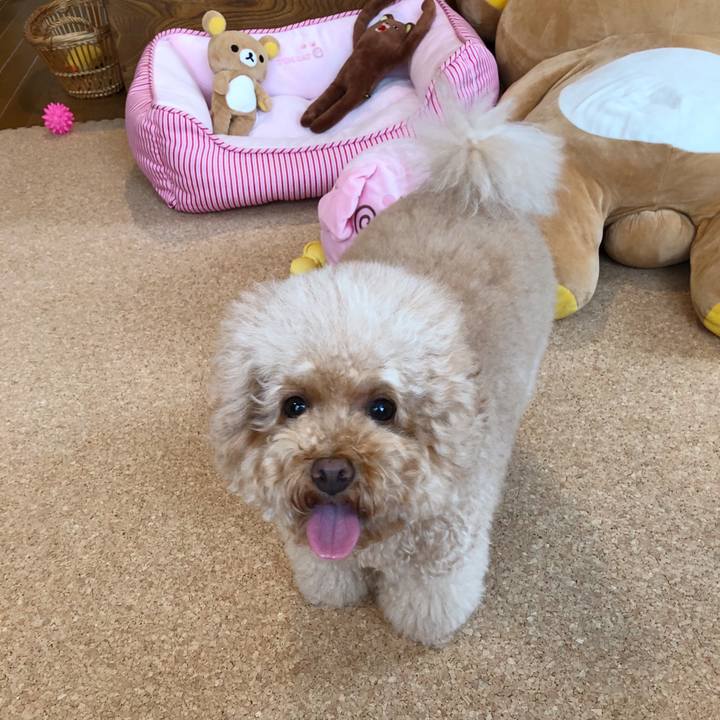 C9b75430 f202 4a06 bb8f ca56757fb7eb 1508465957529