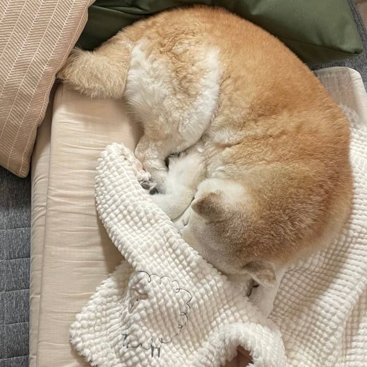 C9b75902 35d5 4cc8 91d6 a22803eaf849 1676441244886