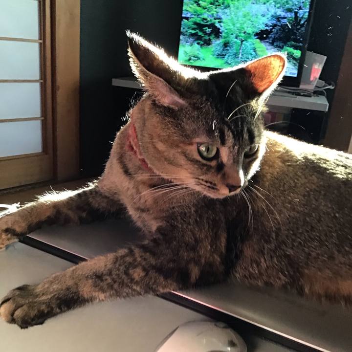 C9b76598 472d 411e 8ba9 d16303d4a924 1632392390366