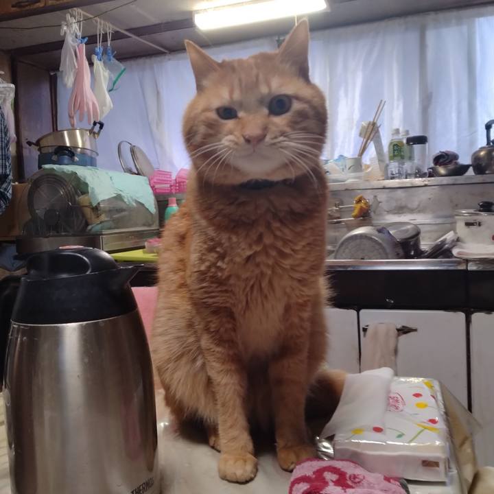 C9b77555 4be2 42f8 ba86 9e2084694a71 1707259936686