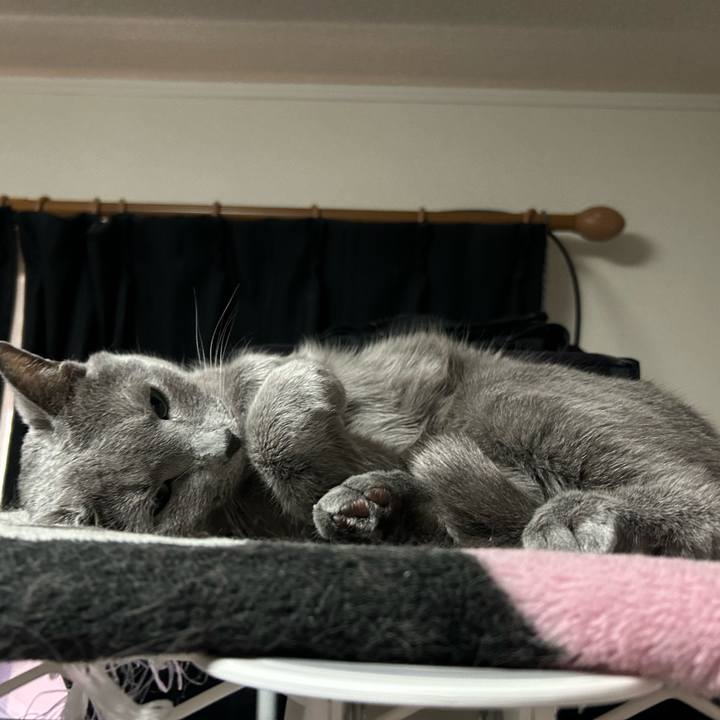 C9b77e76 5655 4577 9f24 054c386079c4 1683978383477