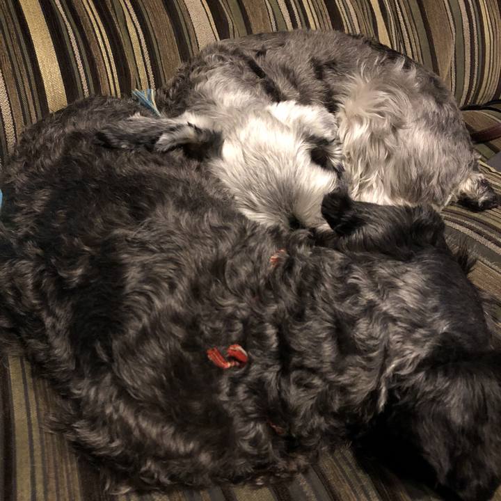 C9b77f4d 9aa2 49b0 812c d759f2bf64ca 1541322550865