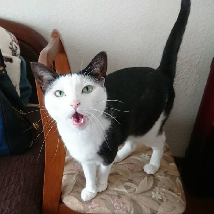 C9b7c136 cba8 4b1c a6ef 77f391796b2c 1534730987326