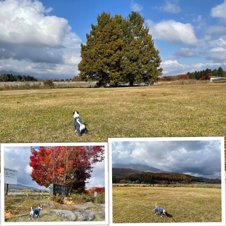 C9b7f323 5e13 4415 b8bd 59739c7426f6 1635842376775