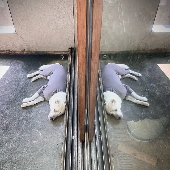 C9b81985 1cdf 47e2 9b80 90adde68763e 1685527508514