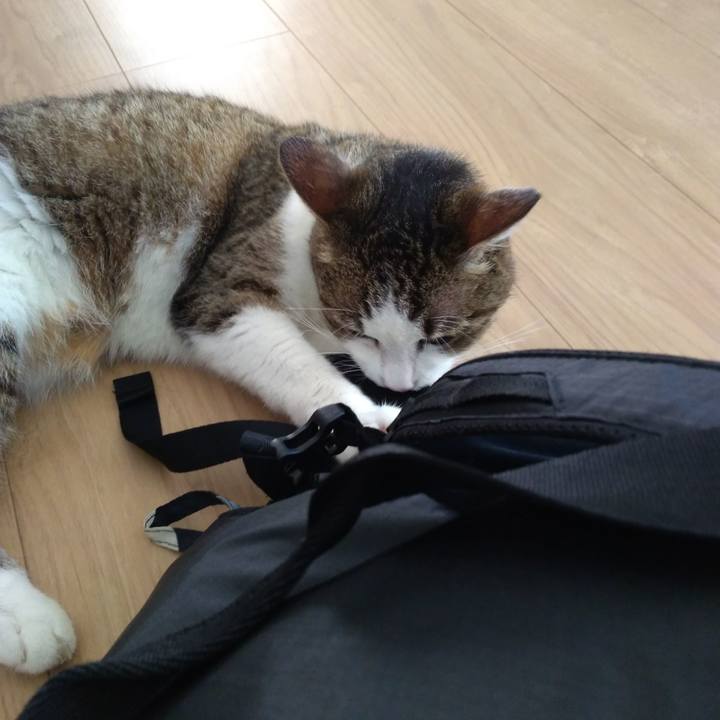 C9b84e5e 339a 4ebe 8f87 8686d6d98174 1531997830866